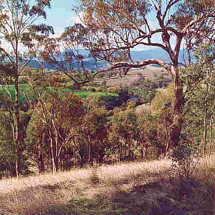 Goulburn River near Seymour in Victoria.