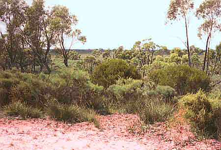 Little Desert National Park - Victoria