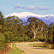 Mount Bogong - Victorian Alps - Australia