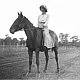 Australian pioneer riding a horse
